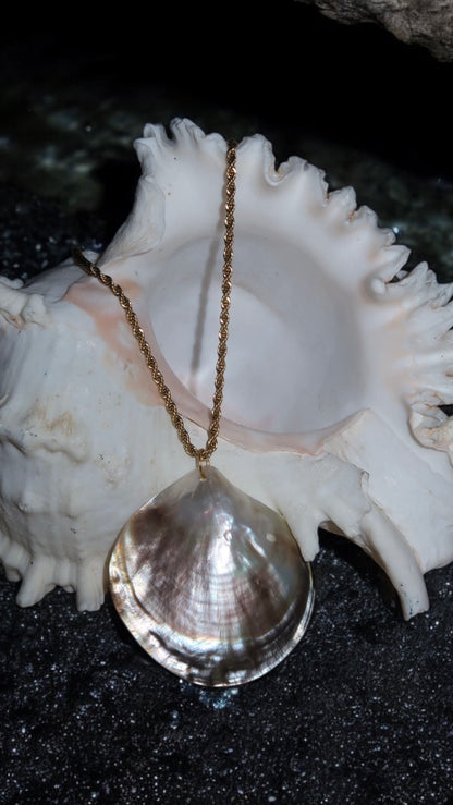 SEASTORM SHELL NECKLACE